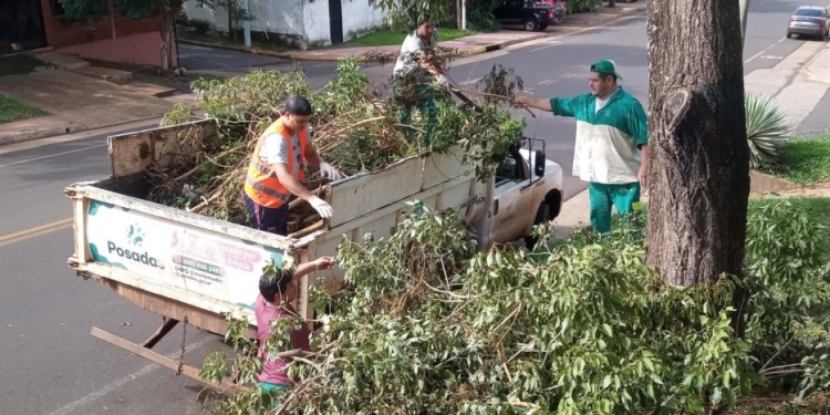 VUELTA A LA ACCIÓN. El operativo integral de podas retomó con cambios en su cronograma original.