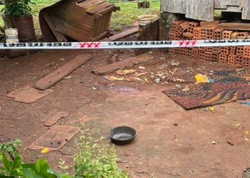 Yaguareté atacó y mató a un perro en las 2.000 Hectáreas de Iguazú