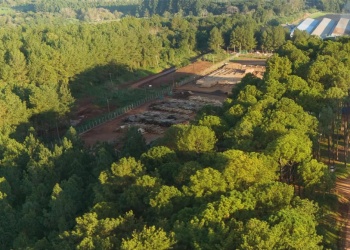 Nación dejó sin efecto la habilitación del ya extinto aeródromo de Montecarlo