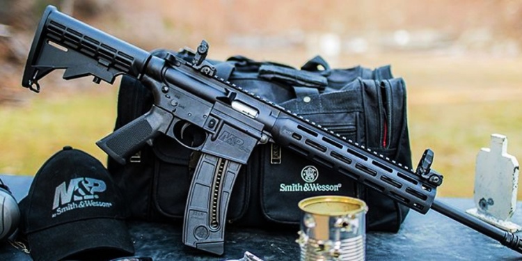 Los legítimos usuarios podrán acceder a carabinas armas semiautomáticas de uso militar superiores al calibre .22LR.