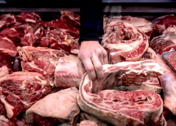 Alerta en la cadena cárnica: caída del stock y suba del consumo podrían presionar los precios