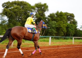 Piden una regulación para las carreras de caballos en Misiones