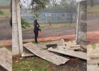 Una camioneta chocó y derribó el muro de una casa en barrio Terrazas