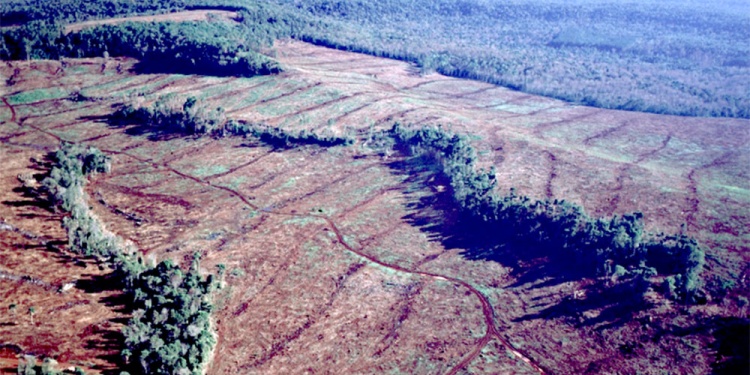 RETROCESO. La falta de presupuesto, personal y recursos, impide controlar para evitar el avance agrícola.