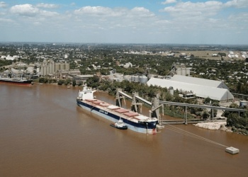 Panorama del sector agrícola:  aumento de divisas y desafíos