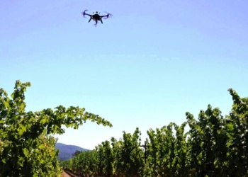La fotogrametría en las chacras misioneras y en el monte nativo