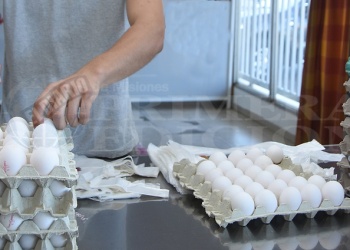 ¿El huevo tiene vencimiento? ¿es seguro tenerlos en la puerta de la heladera?: algunas recomendaciones