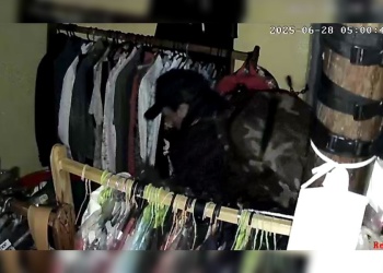 Posadas: una jubilada perdió el trabajo, probó emprender y le robaron todo