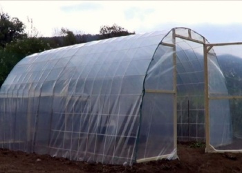 Cómo hacer un invernadero casero para poder cultivar en invierno