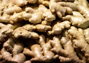 Guía práctica para cultivar  jengibre en espacios reducidos