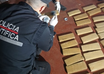 Secuestraron marihuana en una casa abandonada en El Soberbio