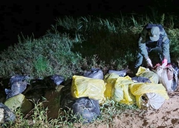 Eldorado: casi una tonelada de marihuana a orillas del río Paraná