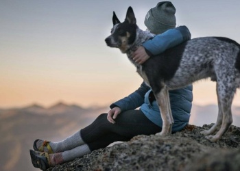 La sincronicidad y nuestros animales