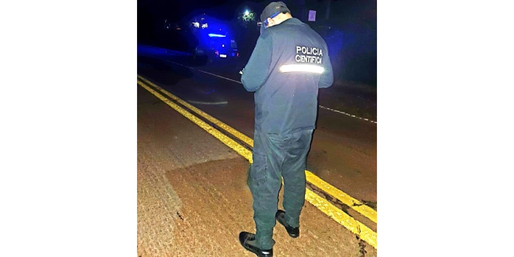 PERICIAS. La Policía Científica en el tramo de la ruta nacional 12 donde ocurrió la tragedia de Santo Pipó.