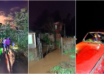 Temporal en Misiones: al menos cinco localidades afectadas con caída de árboles y voladuras de techos