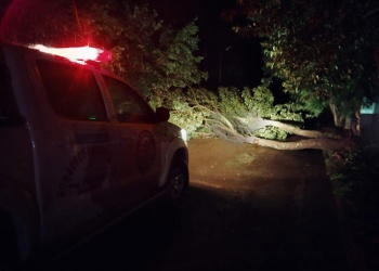 Temporal en Puerto Esperanza: familias asistidas, cortes de energía y un puente destruido