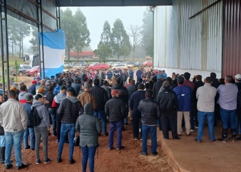 Productores acordaron impulsar la creación del Instituto Provincial de la Yerba Mate