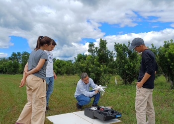 Agricultura 4.0: datos, mapas y tecnologías para el agro misionero
