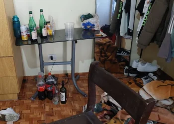 Un joven murió tras ser atacado por “viudas negras”: el macabro y escalofriante resultado de la autopsia