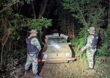 Prefectura secuestró más de mil cartones de cigarrillos de contrabando en Panambí