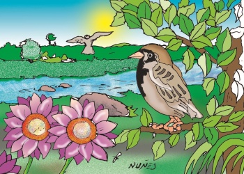 Escritores de Misiones: Así…