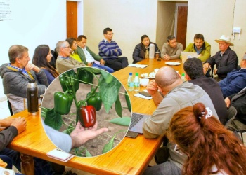 El desafío de potenciar el sector productivo en localidades misioneras