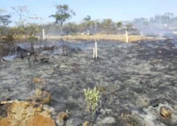 Bernardo de Irigoyen: Bomberos combatieron dos focos de incendio