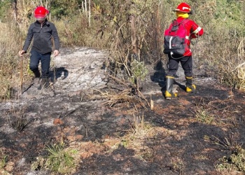 Bernardo de Irigoyen: Bomberos combatieron dos focos de incendio