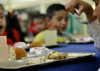 Crisis alimentaria en la infancia argentina: un tercio de los niños sufren privaciones graves