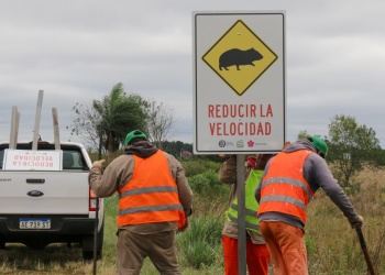 Radares: unos mil autos por día exceden la velocidad máxima permitida en Iguazú