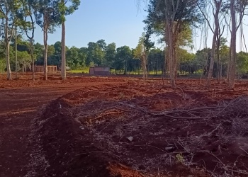 Ecología frenó la construcción de un kartódromo en una reserva natural de Iguazú
