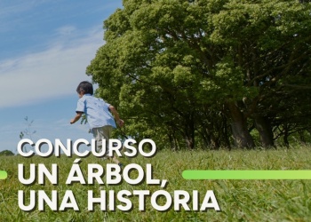 El IMiBio convoca a escribir sobre árboles y conservar su legado