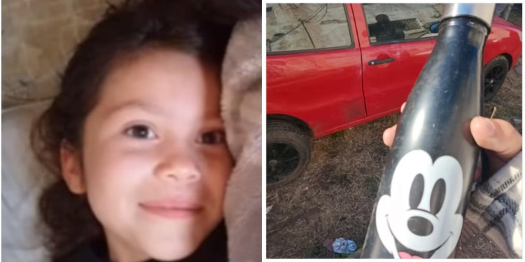 “NO HAY NINGÚN SENTIDO A TANTO SUFRIMIENTO”. La menor que fue víctima y el triste posteo de su padre.