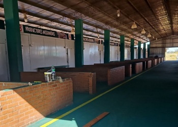 Por primera vez en 40 años, el Mercado Central inaugurará cámaras de frío