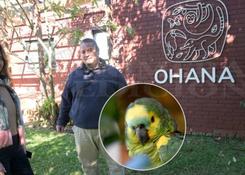 En medio año, el silencioso trabajo de Ohana salvó a unos 300 animales silvestres