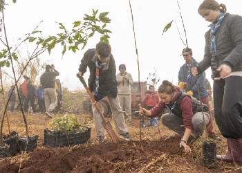 Plantaron mil ejemplares de árboles en el Monte Seguín