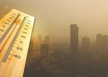 Película de origen vegetal reduce costos de refrigeración