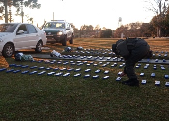 Gendarmería secuestró más de 380 kilos de marihuana en operativos en Misiones
