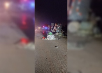 Accidente en Misiones: camión cargado con resina de pino volcó en la Ruta 14