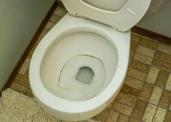 Más sucios que el inodoro: los sorprendentes objetos del hogar que acumulan más bacterias