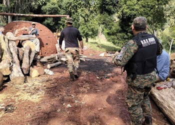 Desmantelan campamento de cazadores furtivos