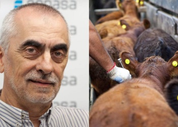 Renunció el presidente del Senasa tras la guerra por la importación de la vacuna antiaftosa