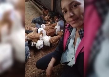 Historias de vida: Cría pollos y sueños en su granja al norte de la provincia