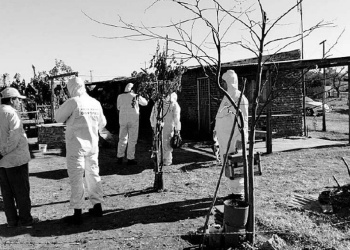 Archivos policiales: El “loco del martillo”