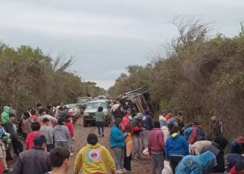 Córdoba: camión con vacas cayó a la banquina y vecinos faenaron los animales en plena calle