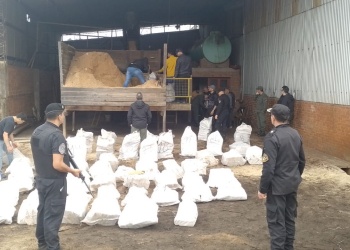 Incineraron casi 2.400 kilos de marihuana incautada en operativos federales