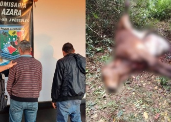 Faenaban una vaquilla en un campo privado y terminaron tras las rejas