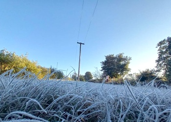 La helada de este martes fue menos intensa que la de junio, pero agravó daños en cultivos sensibles