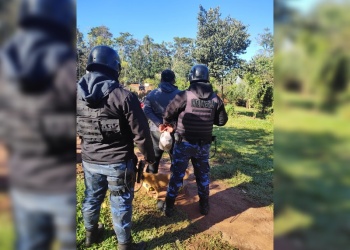 Iguazú: hacían carreras ilegales, subieron los videos y los atraparon