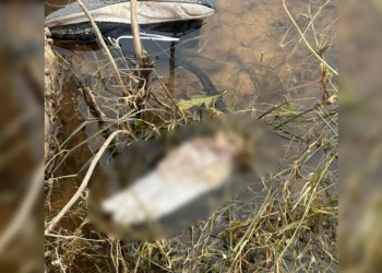 Macabro hallazgo en la costa del río Paraná: encontraron un pie humano flotando